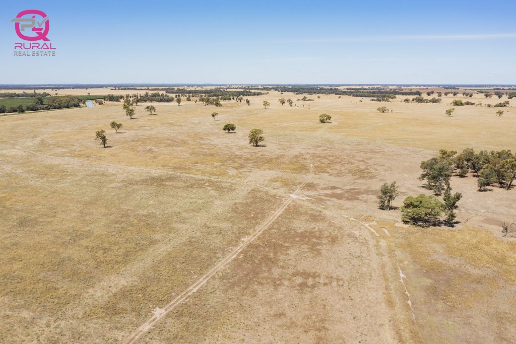 245 Mellington Road, Coleambally NSW 2707 - photo 3