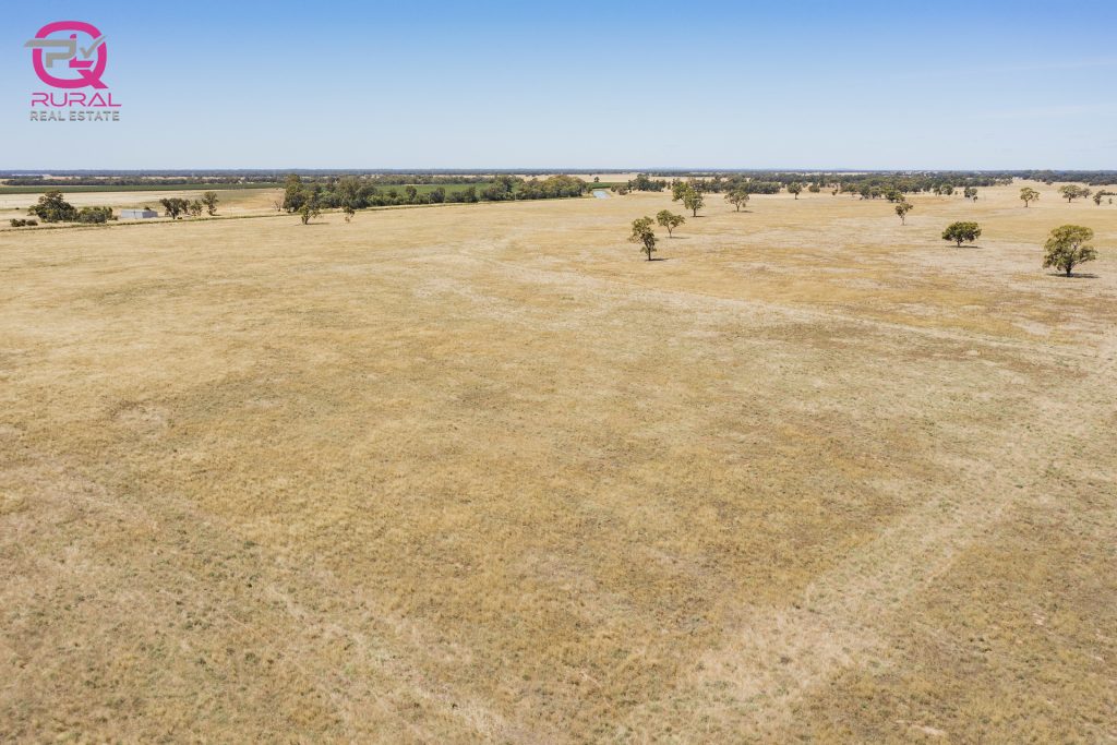 245 Mellington Road, Coleambally NSW 2707 - photo 6