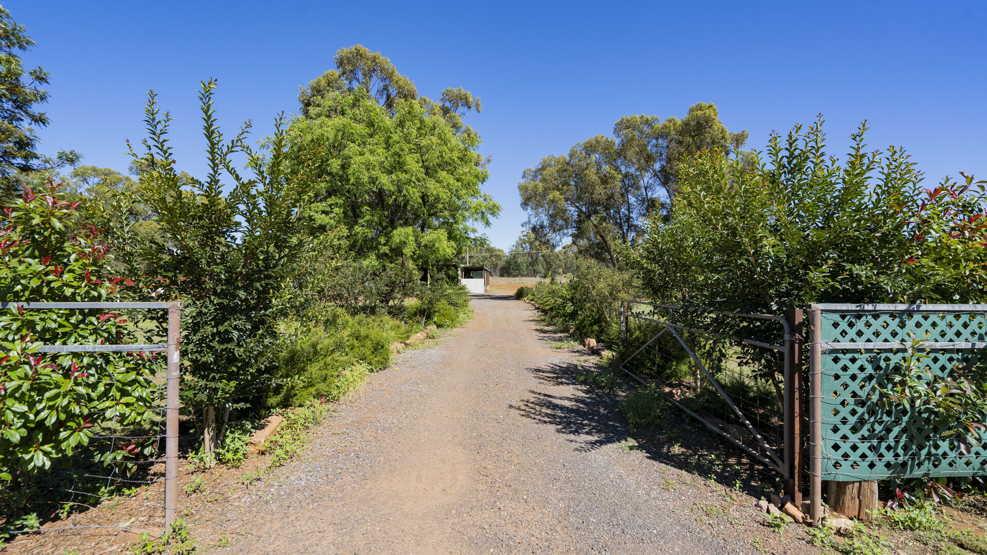 4917 Whitton Stock Route Road, Rankins Springs NSW 2669 - photo 2