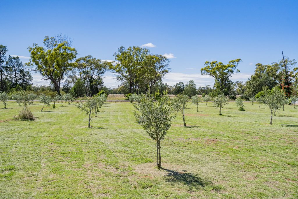 4917 Whitton Stock Route Road, Rankins Springs NSW 2669 - photo 20