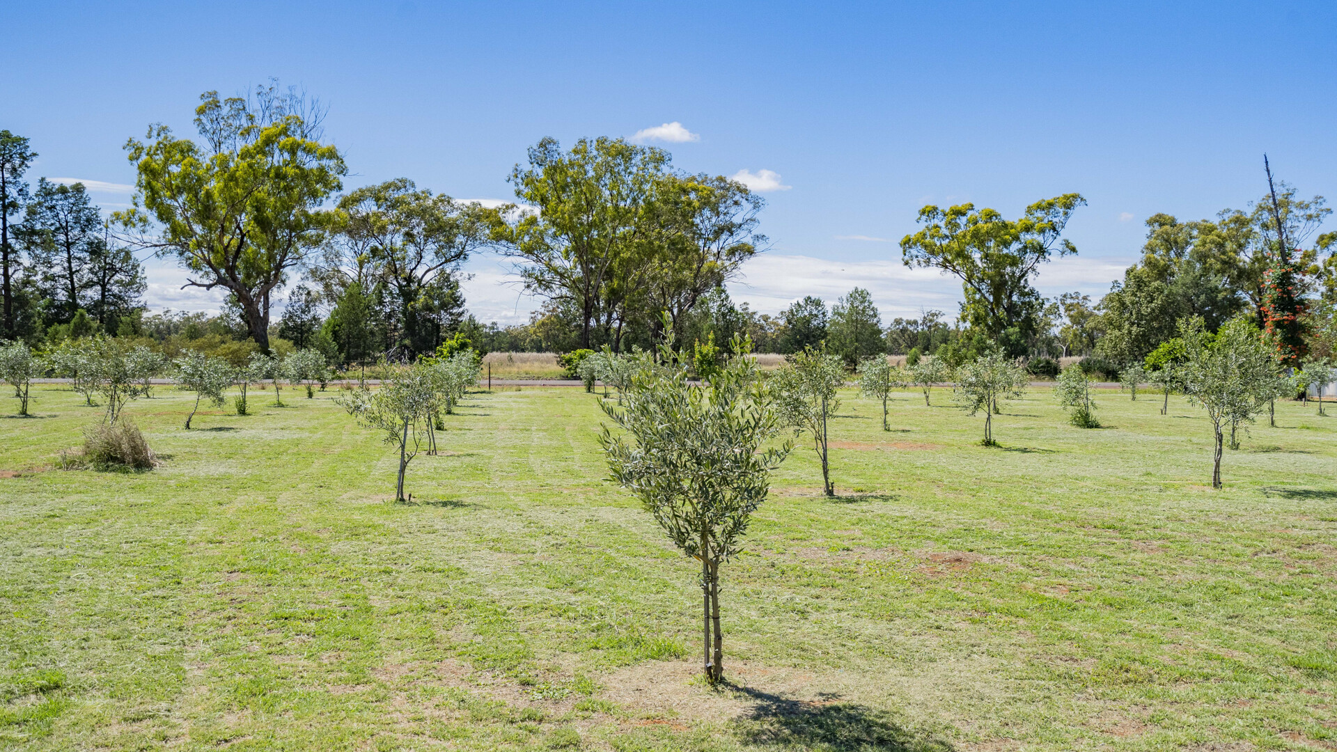 4917 Whitton Stock Route Road, Rankins Springs NSW 2669 - photo 20