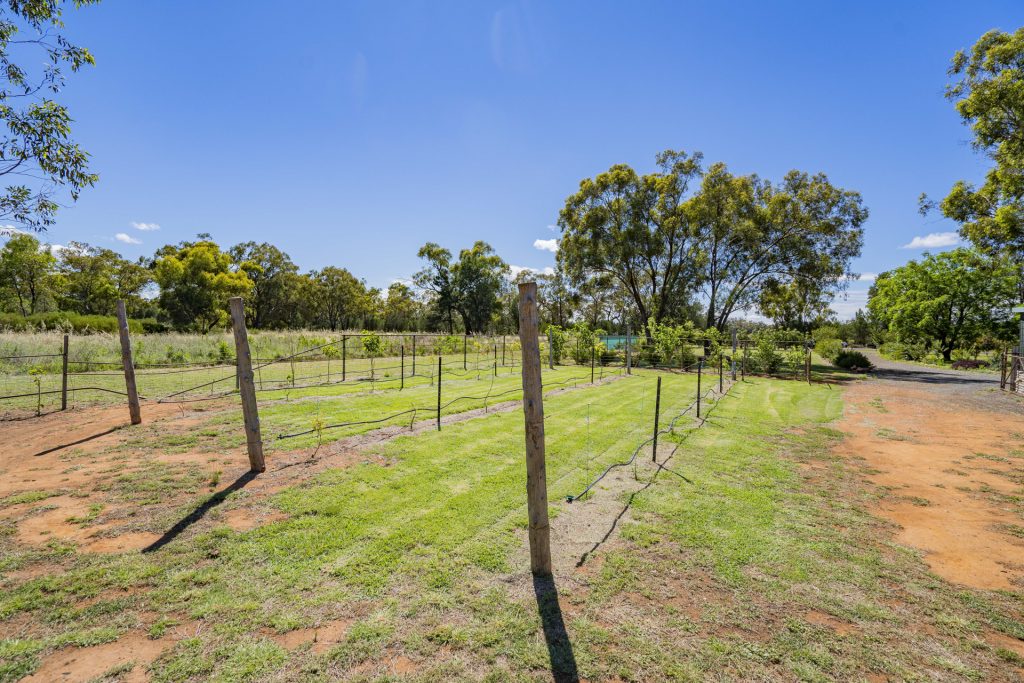 4917 Whitton Stock Route Road, Rankins Springs NSW 2669 - photo 21