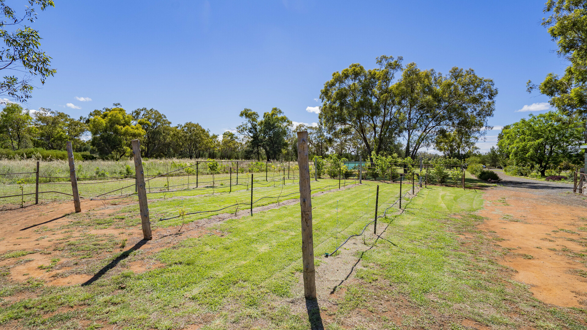 4917 Whitton Stock Route Road, Rankins Springs NSW 2669 - photo 21