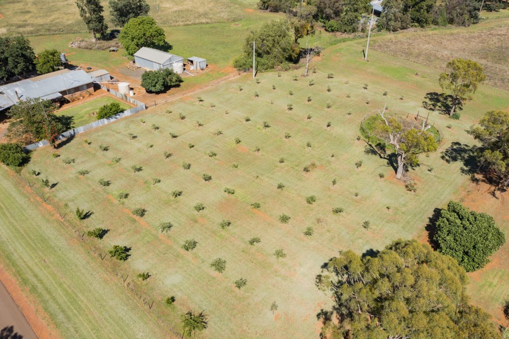 4917 Whitton Stock Route Road, Rankins Springs NSW 2669 - photo 22