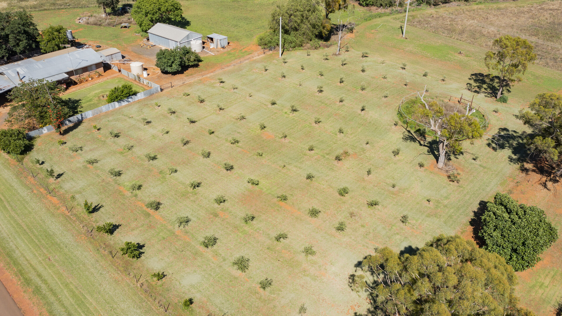 4917 Whitton Stock Route Road, Rankins Springs NSW 2669 - photo 22