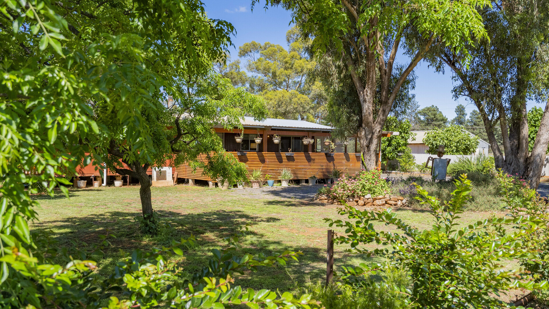 4917 Whitton Stock Route Road, Rankins Springs NSW 2669 - photo 4