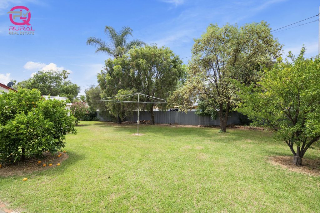 54 Yanco Avenue, Leeton NSW 2705 - photo 14