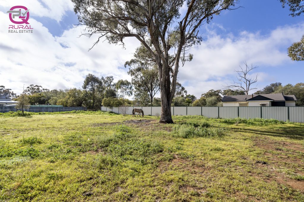 45-47 Devlin Street, Matong NSW 2652 - photo 17