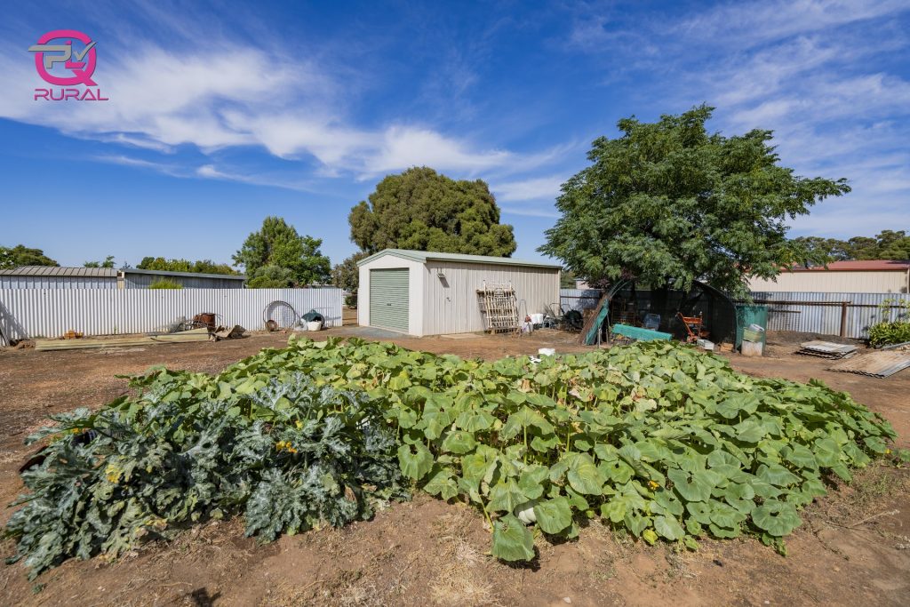 2 Sherwood Road, Temora NSW 2666 - photo 8