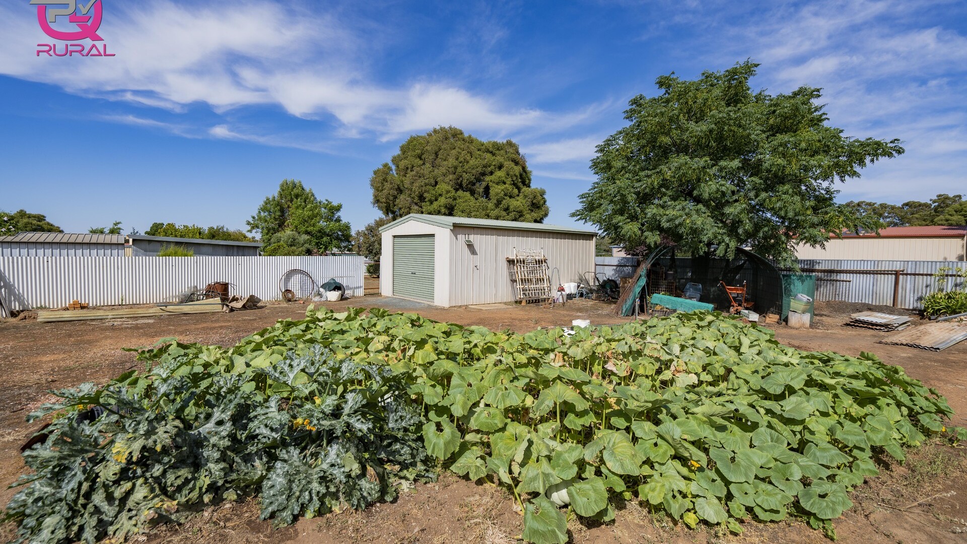 2 Sherwood Road, Temora NSW 2666 - photo 8