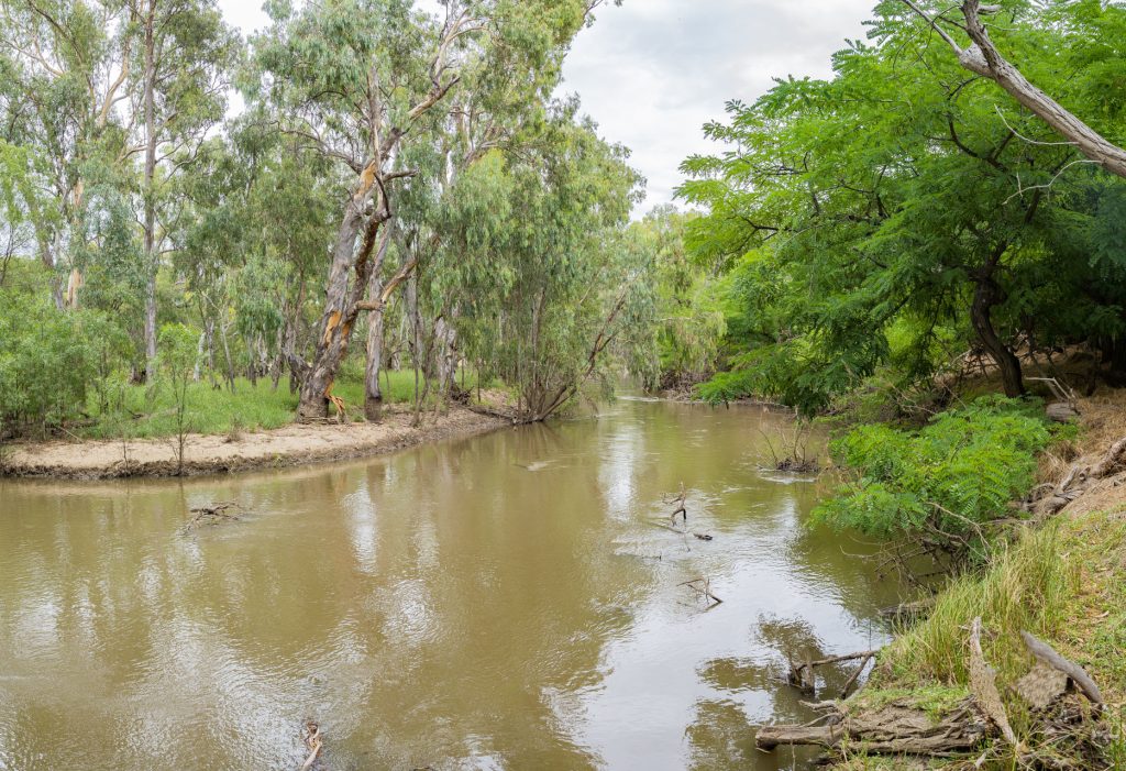 99 Mollys Lagoon Road, Narrandera NSW 2700 - photo 2