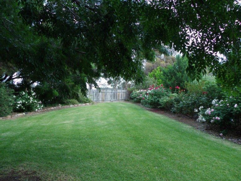 99 Mollys Lagoon Road, Narrandera NSW 2700 - photo 12
