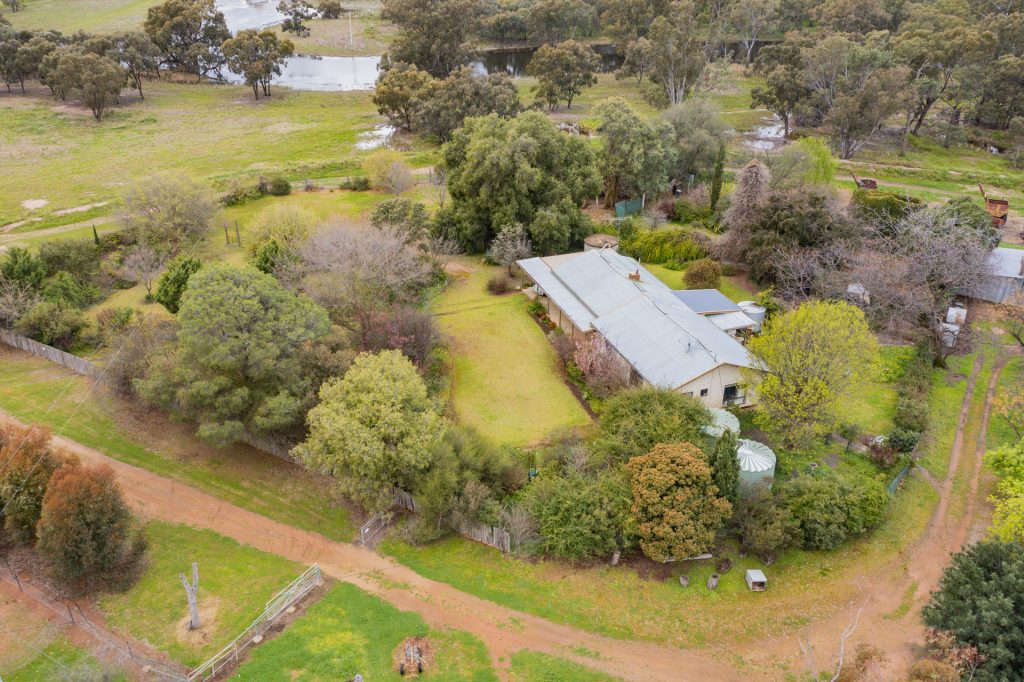 99 Mollys Lagoon Road, Narrandera NSW 2700 - photo 13