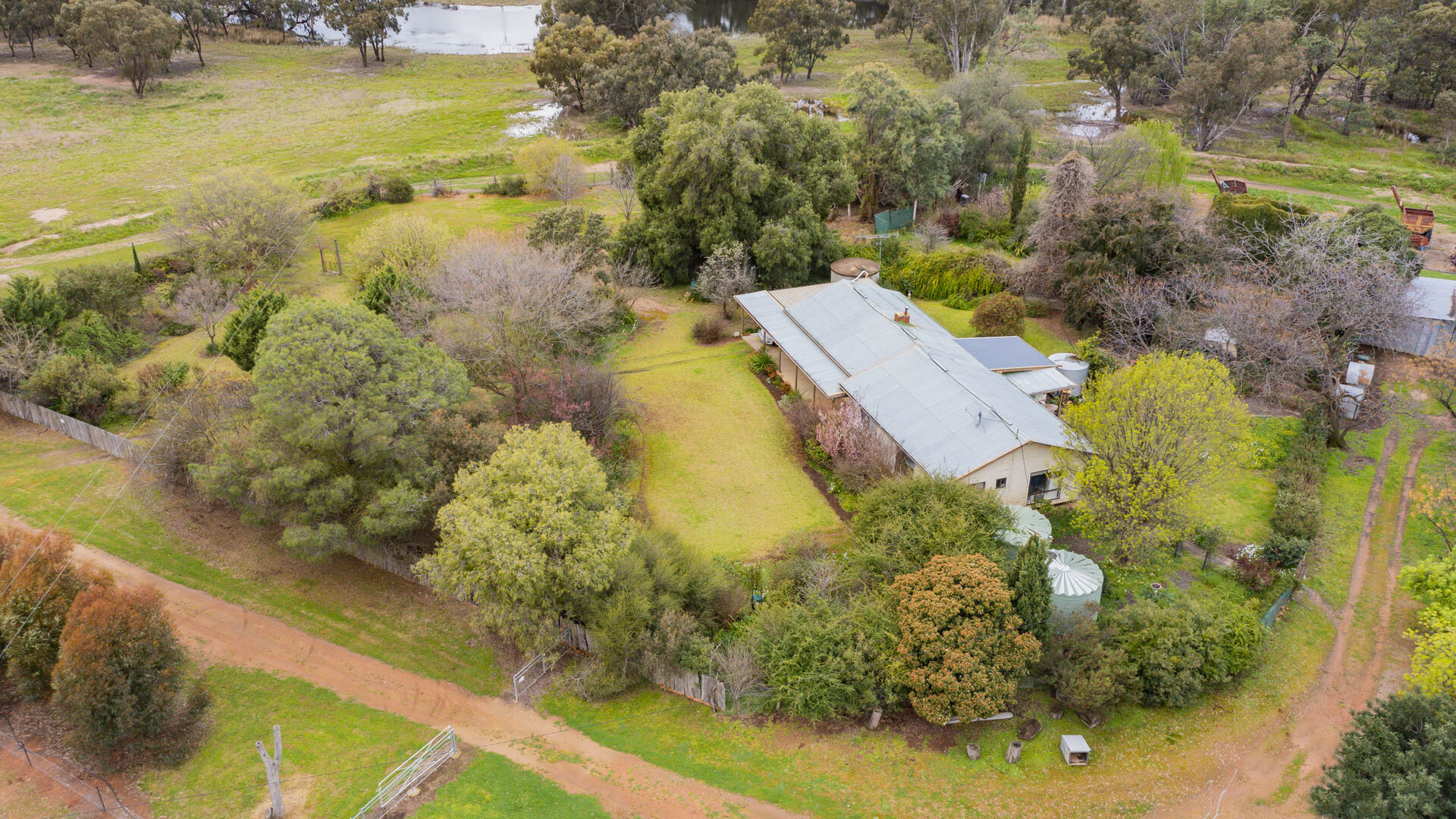 99 Mollys Lagoon Road, Narrandera NSW 2700 - photo 13