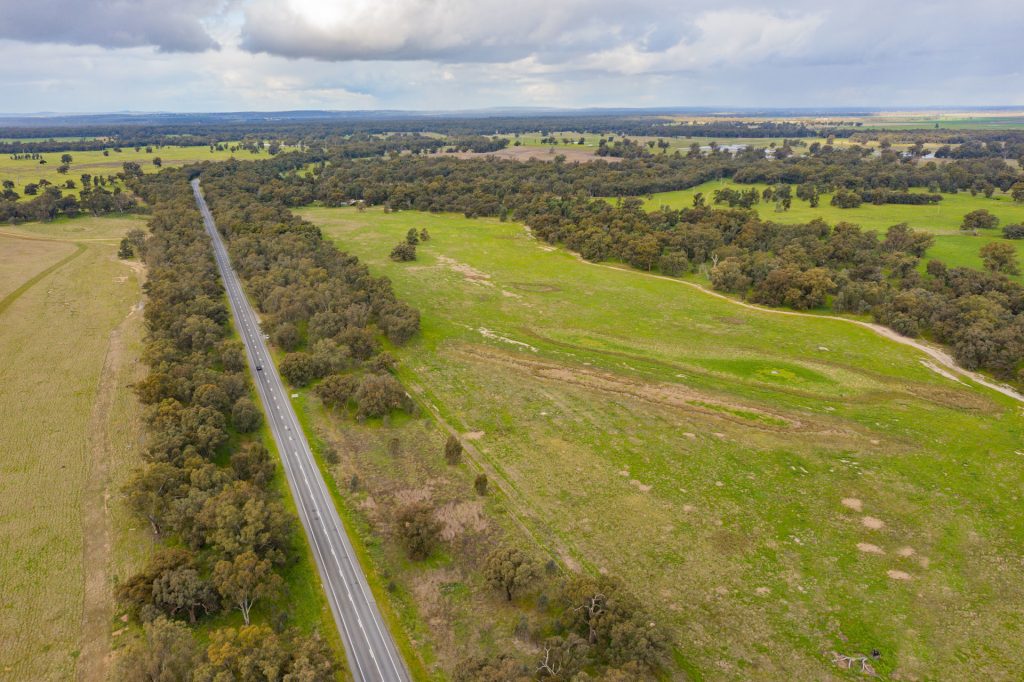99 Mollys Lagoon Road, Narrandera NSW 2700 - photo 14