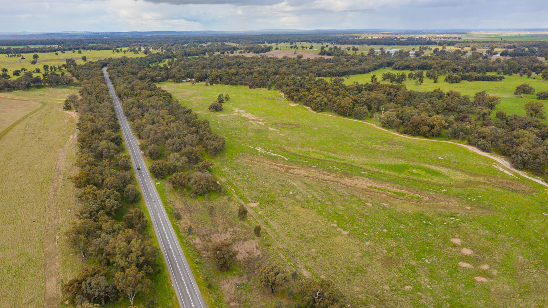 99 Mollys Lagoon Road, Narrandera NSW 2700 - photo 14