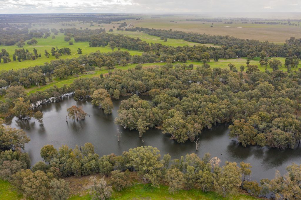 99 Mollys Lagoon Road, Narrandera NSW 2700 - photo 3