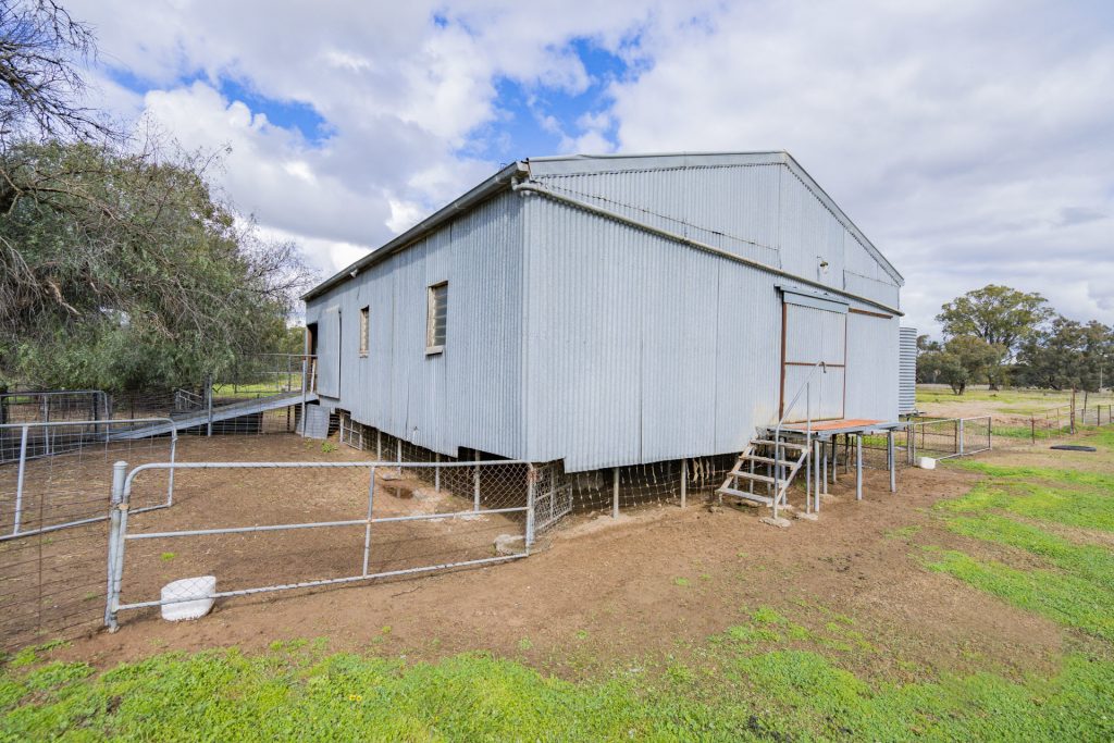 99 Mollys Lagoon Road, Narrandera NSW 2700 - photo 9