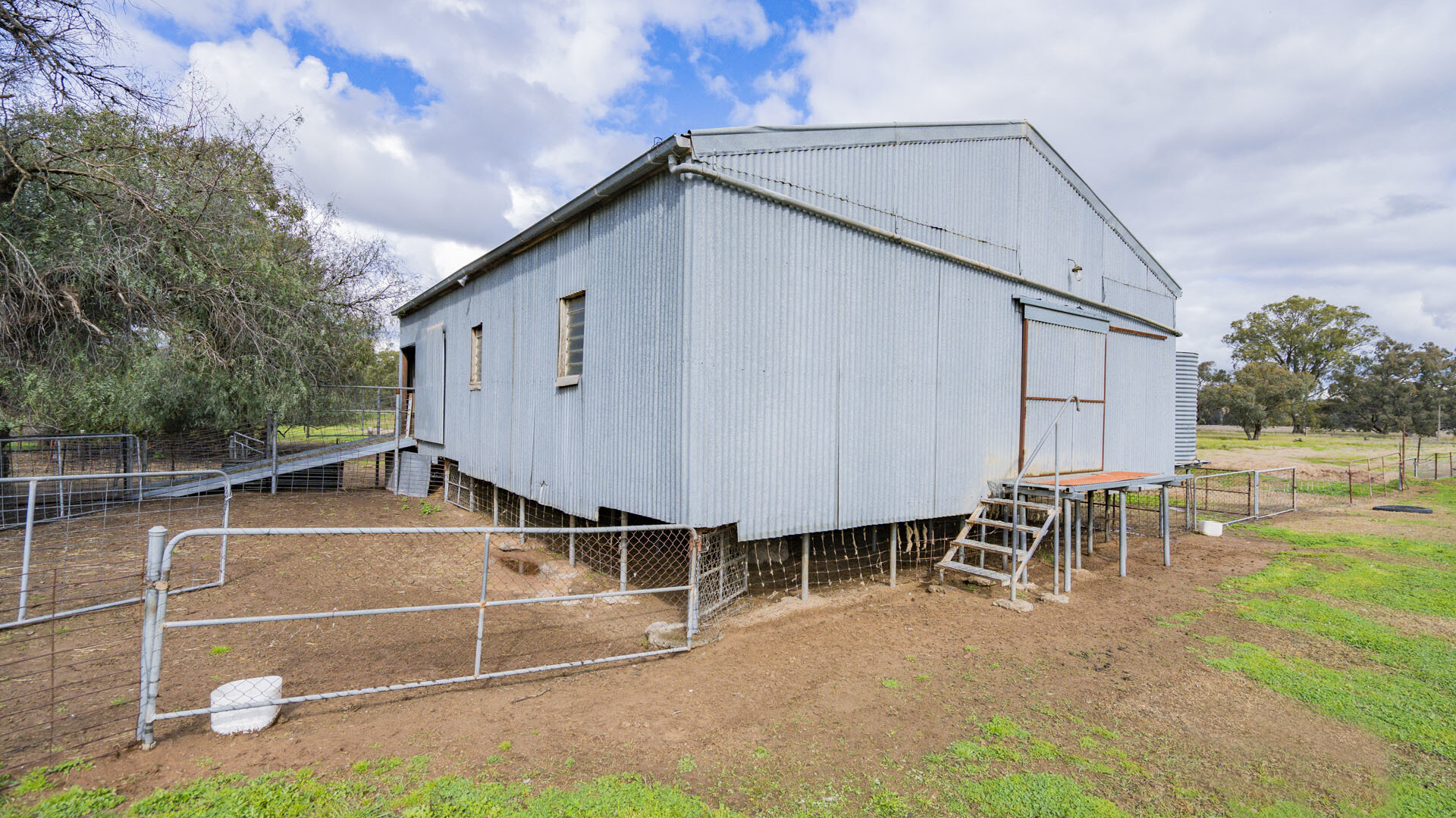 99 Mollys Lagoon Road, Narrandera NSW 2700 - photo 9