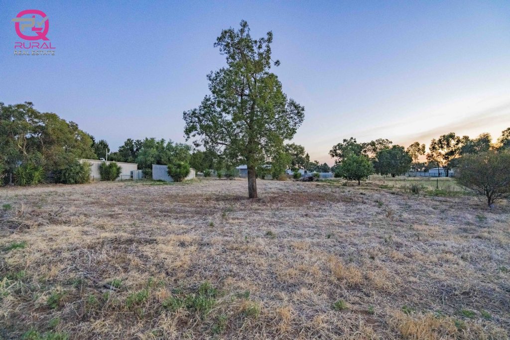 37 Webb Street, Marrar NSW 2652 - photo 10