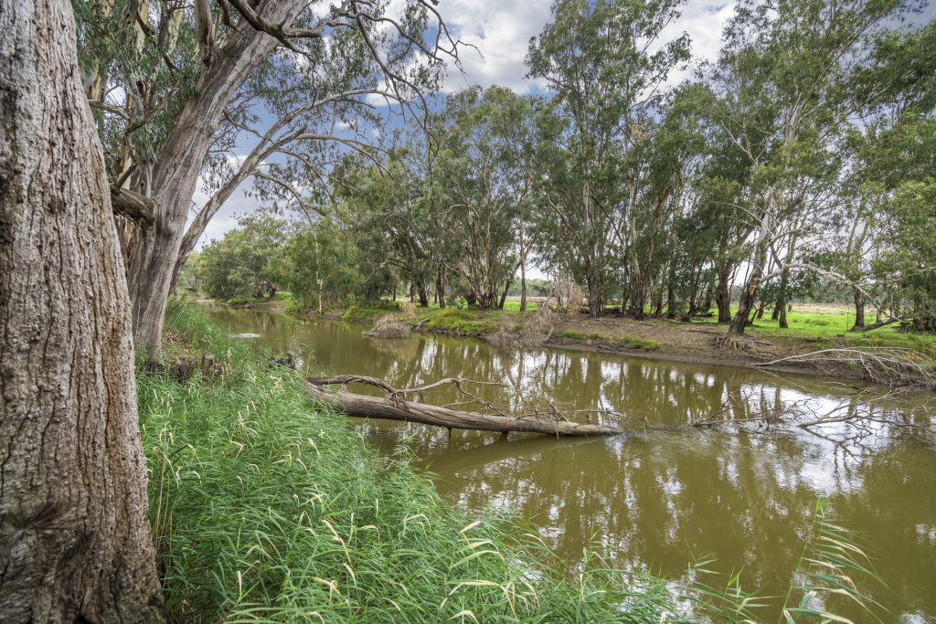 2336 Old Wagga Road, Grong Grong NSW 2652 - photo 3