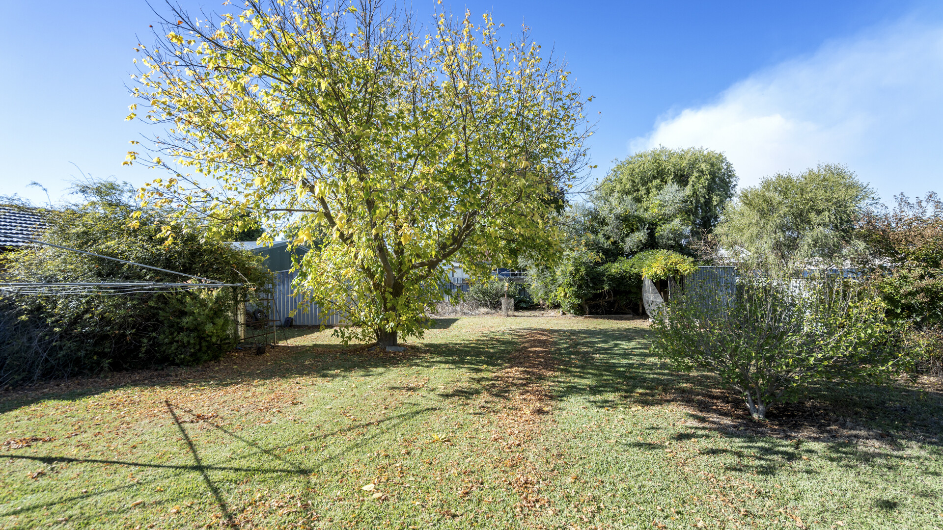 18 Canal Street, Leeton NSW 2705 - photo 12