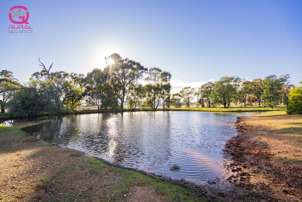 298 Burley Griffin Way, Temora NSW 2666 - photo 3