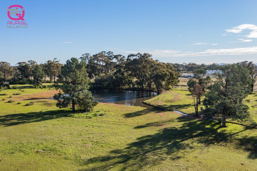 298 Burley Griffin Way, Temora NSW 2666 - photo 21
