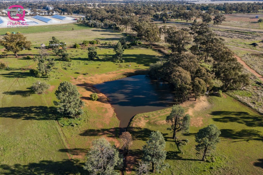 298 Burley Griffin Way, Temora NSW 2666 - photo 5