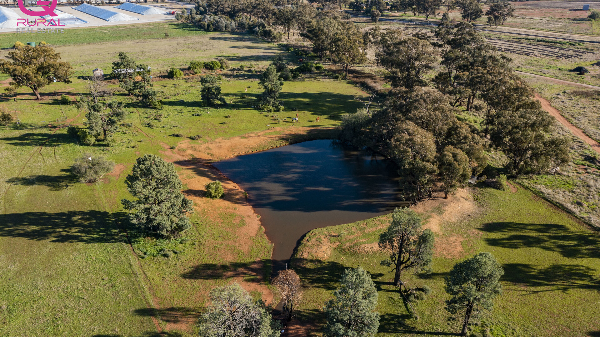 298 Burley Griffin Way, Temora NSW 2666 - photo 5