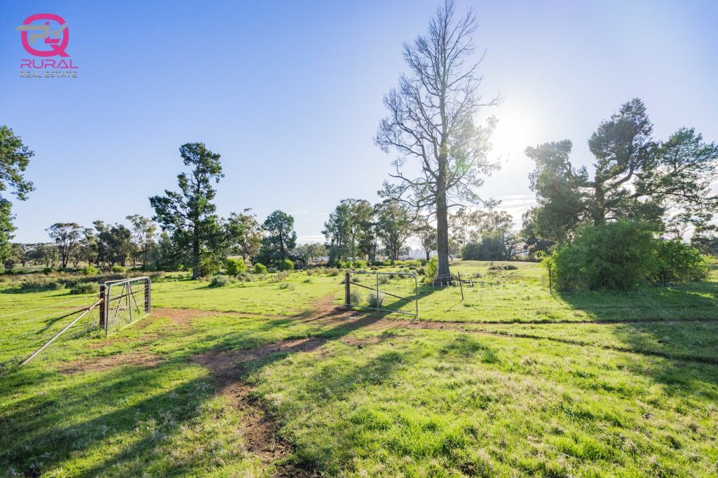 298 Burley Griffin Way, Temora NSW 2666 - photo 6