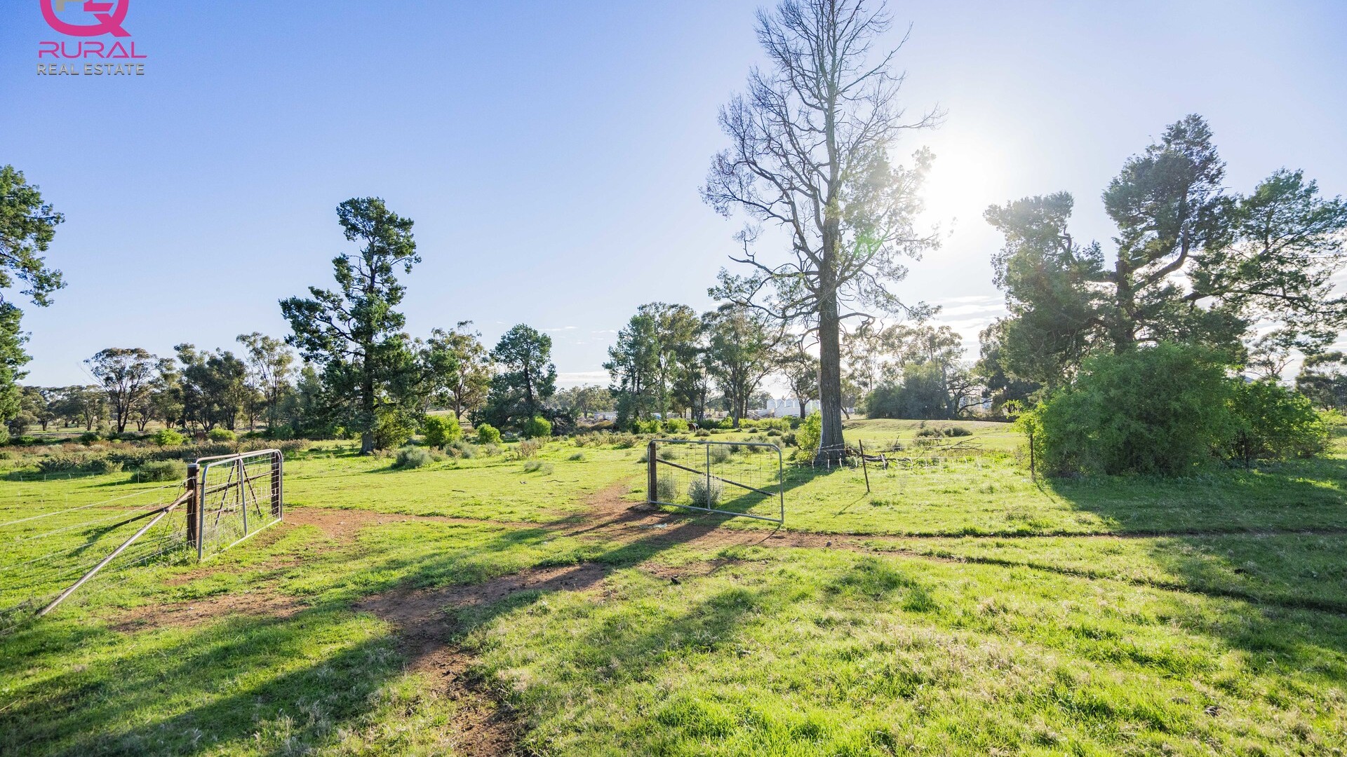 298 Burley Griffin Way, Temora NSW 2666 - photo 6