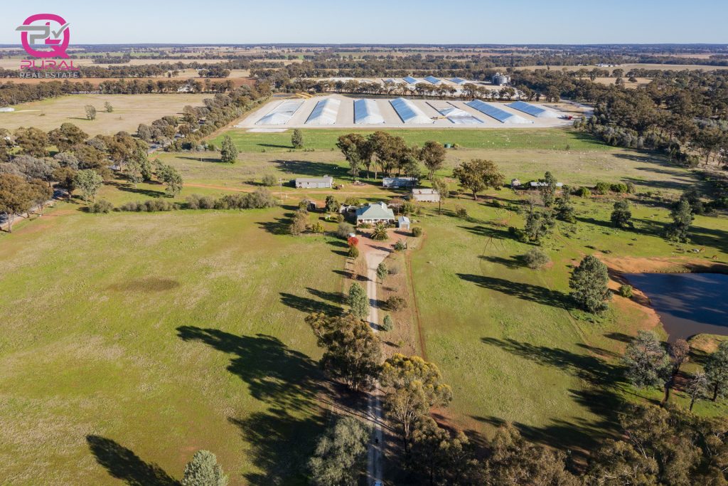 298 Burley Griffin Way, Temora NSW 2666 - photo 8