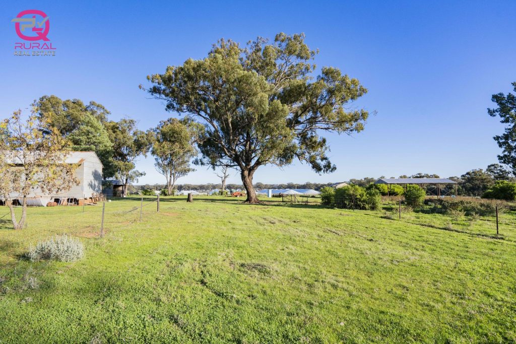 298 Burley Griffin Way, Temora NSW 2666 - photo 9