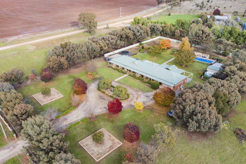 60 Junee Road, Temora NSW 2666 - photo 4