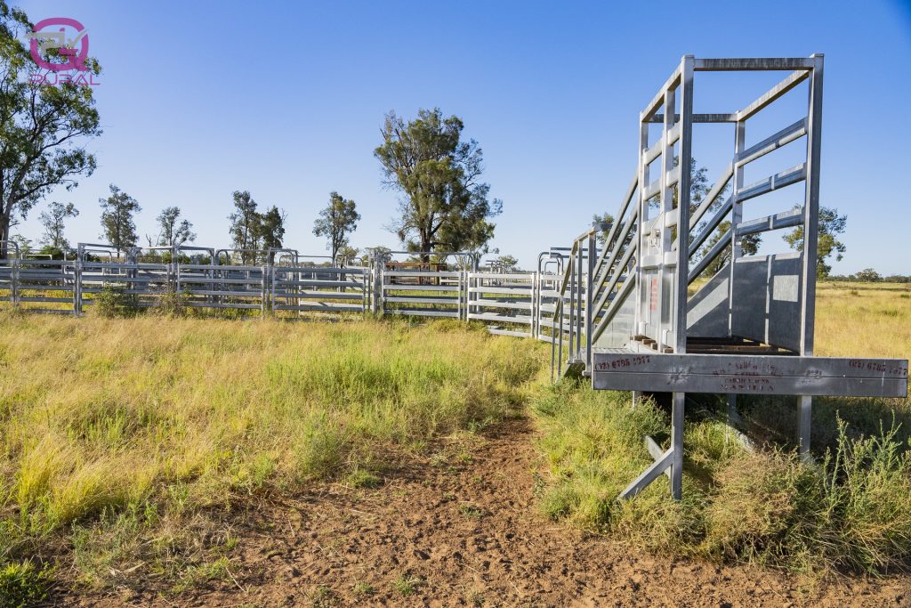Merri Merri Road, Carinda NSW 2831 - photo 5