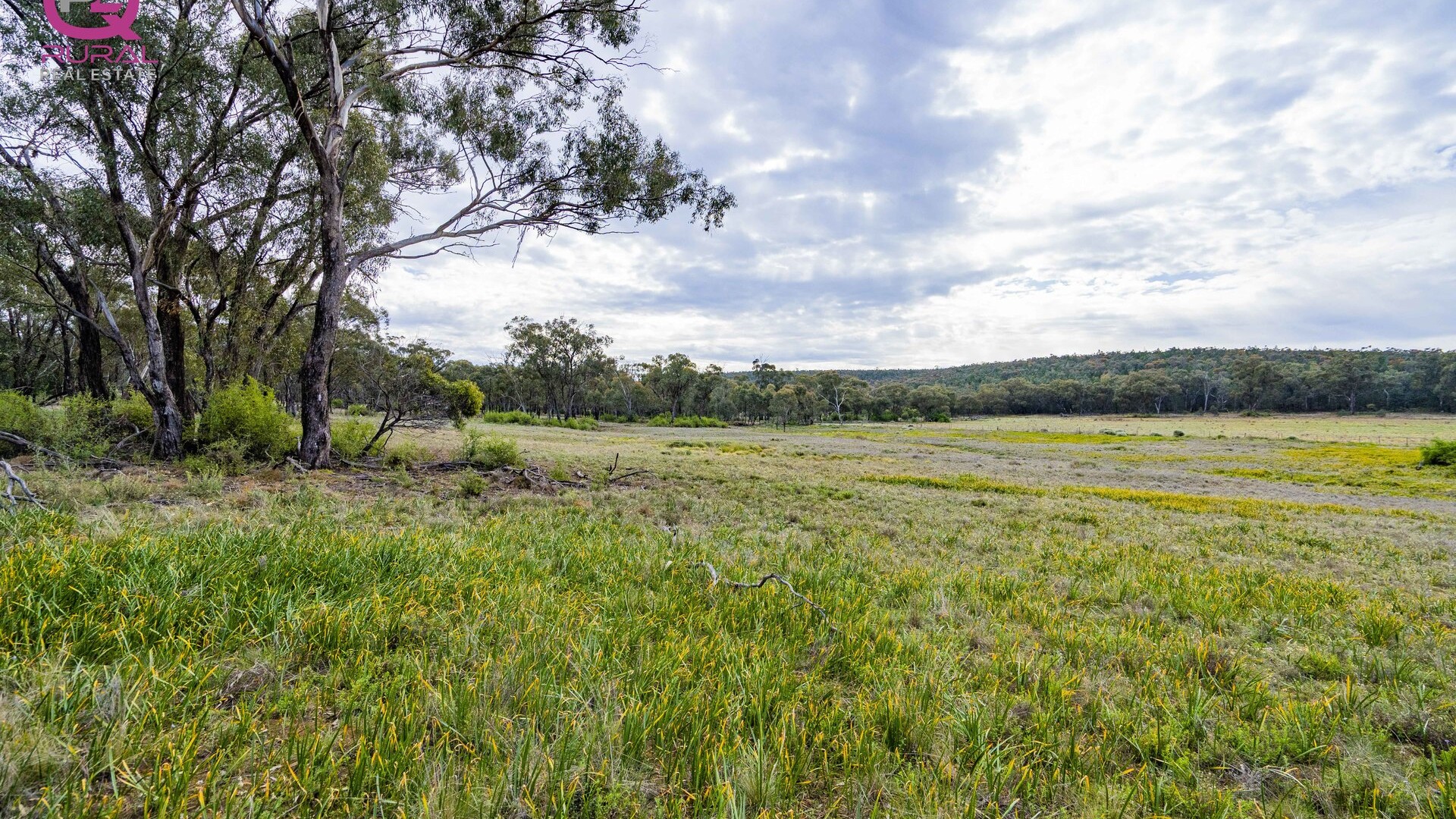 154 Charles Road, Narrandera NSW 2700 - McGrath Riverina