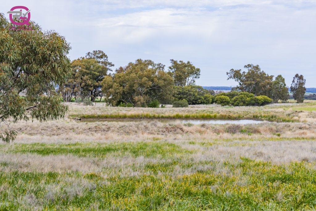 154 Charles Road, Narrandera NSW 2700 - photo 3