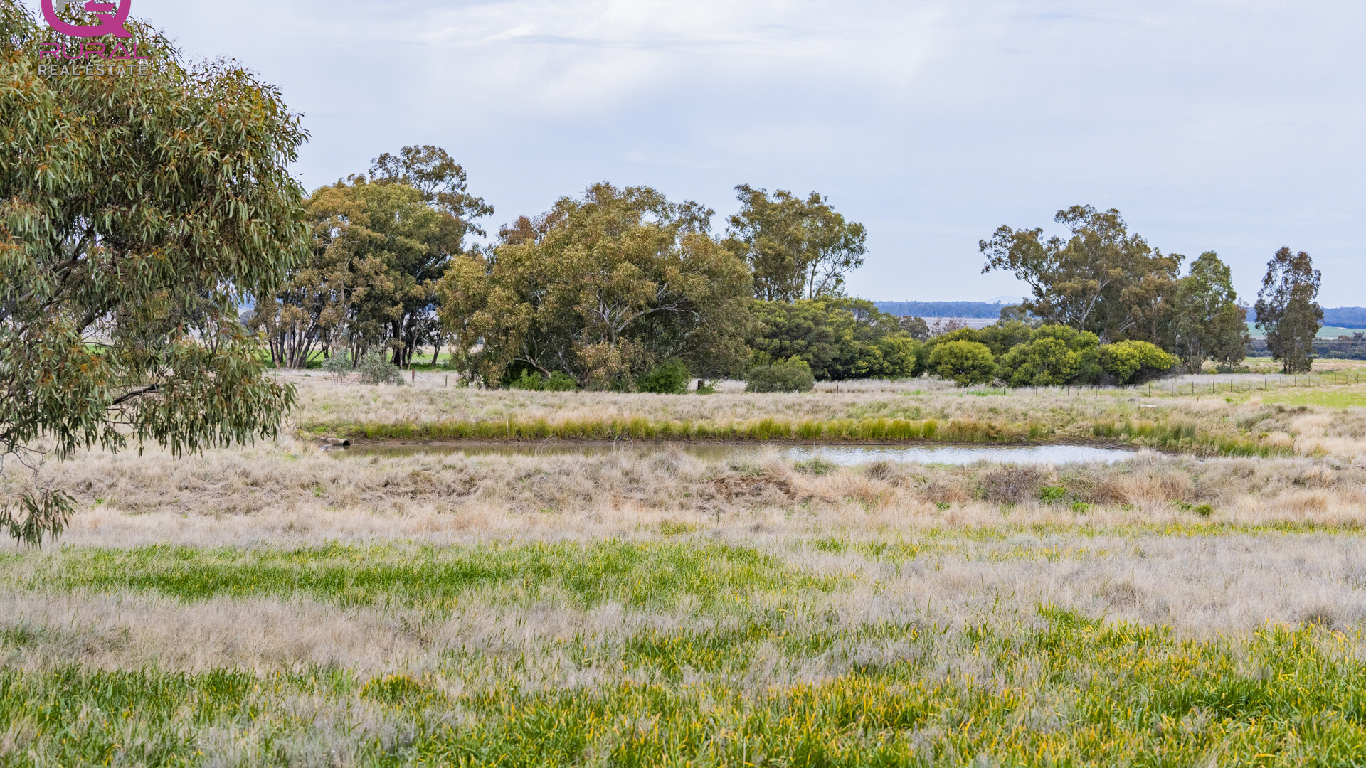 154 Charles Road, Narrandera NSW 2700 - photo 3