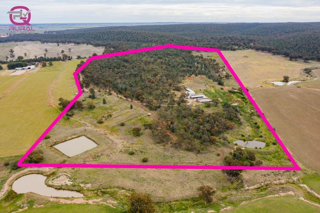 154 Charles Road, Narrandera NSW 2700 - photo 5