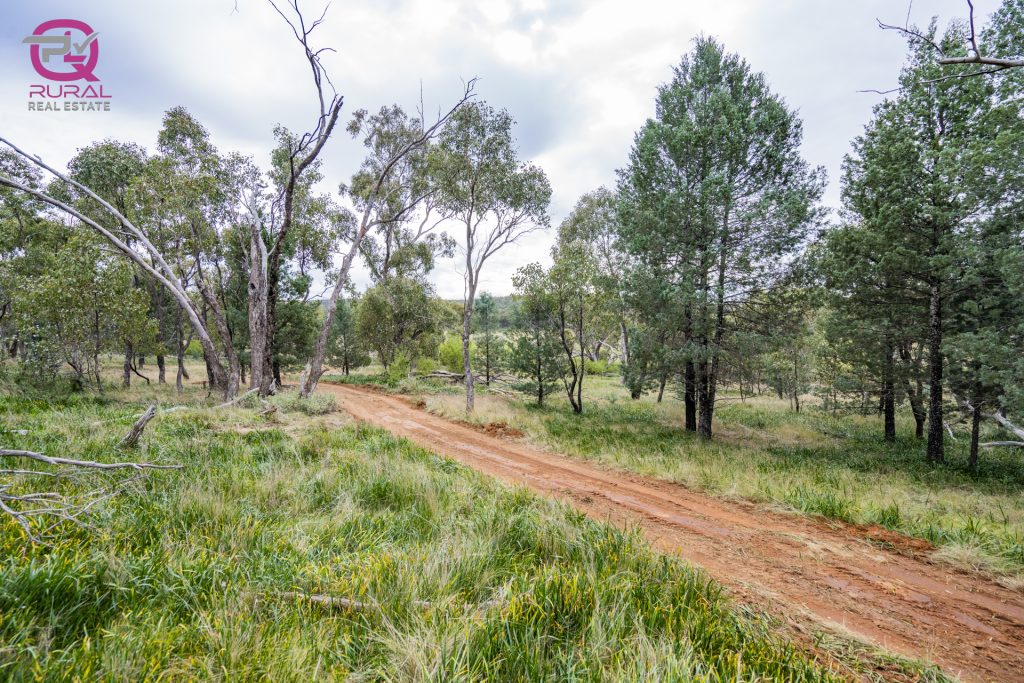 154 Charles Road, Narrandera NSW 2700 - photo 6
