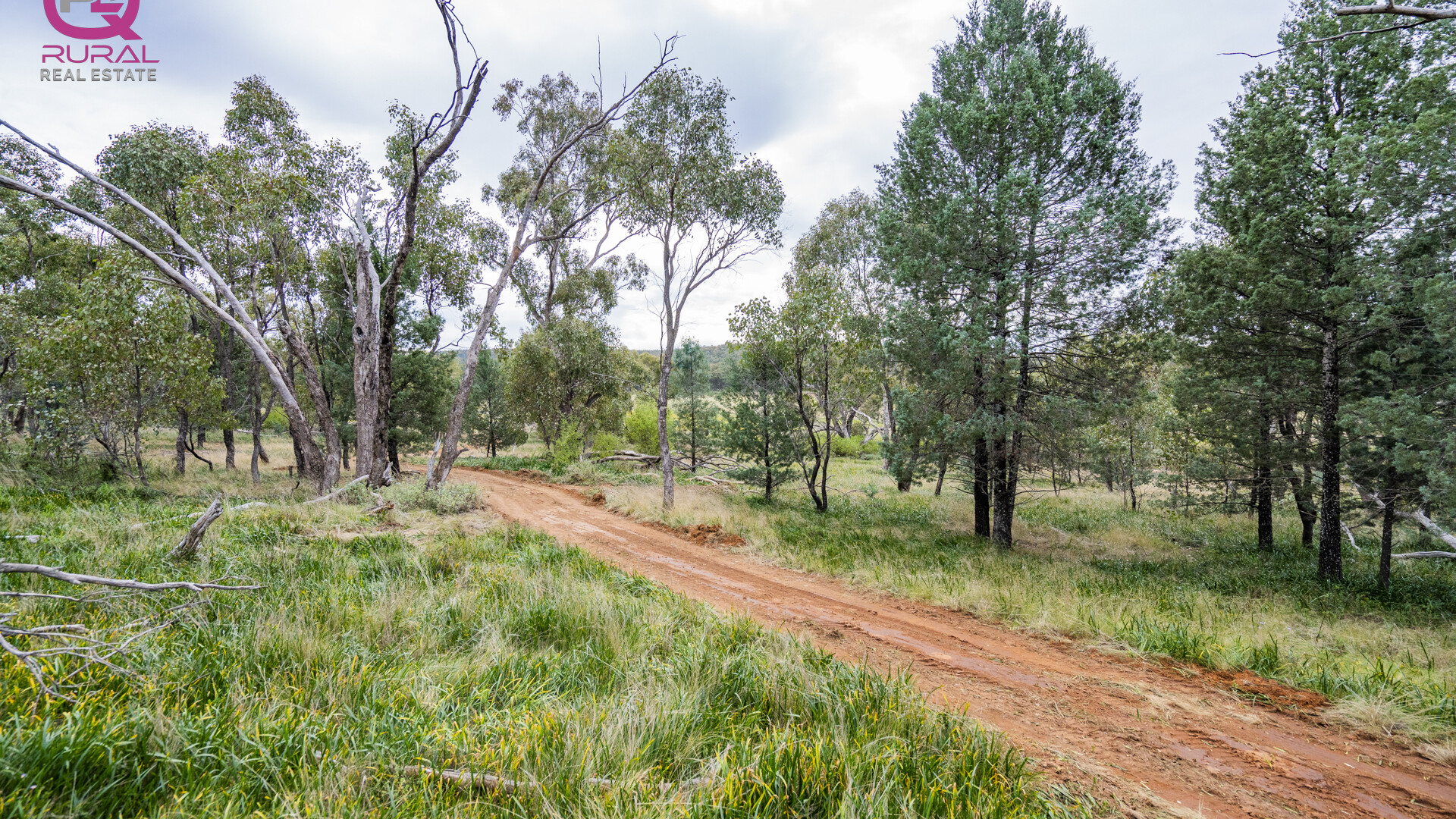154 Charles Road, Narrandera NSW 2700 - photo 6