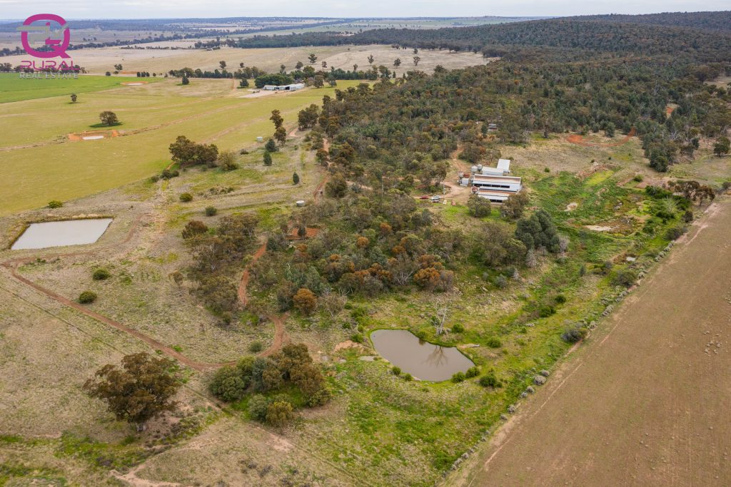 154 Charles Road, Narrandera NSW 2700 - photo 7