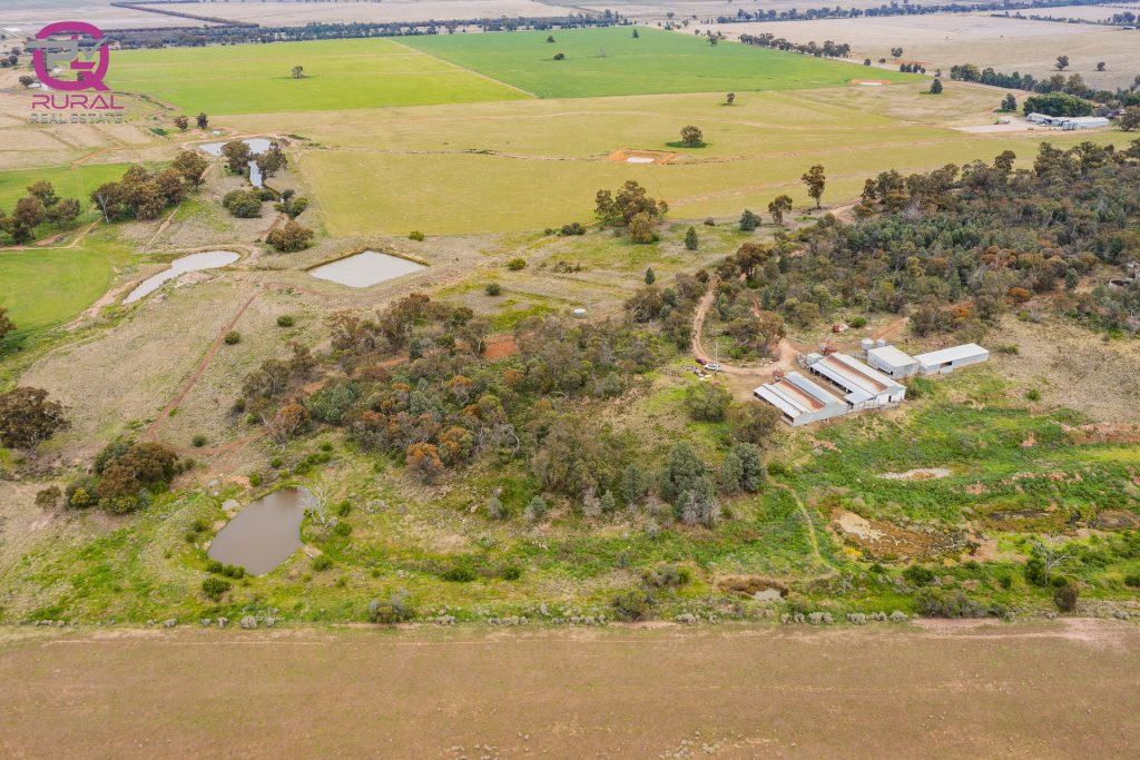 154 Charles Road, Narrandera NSW 2700 - photo 8