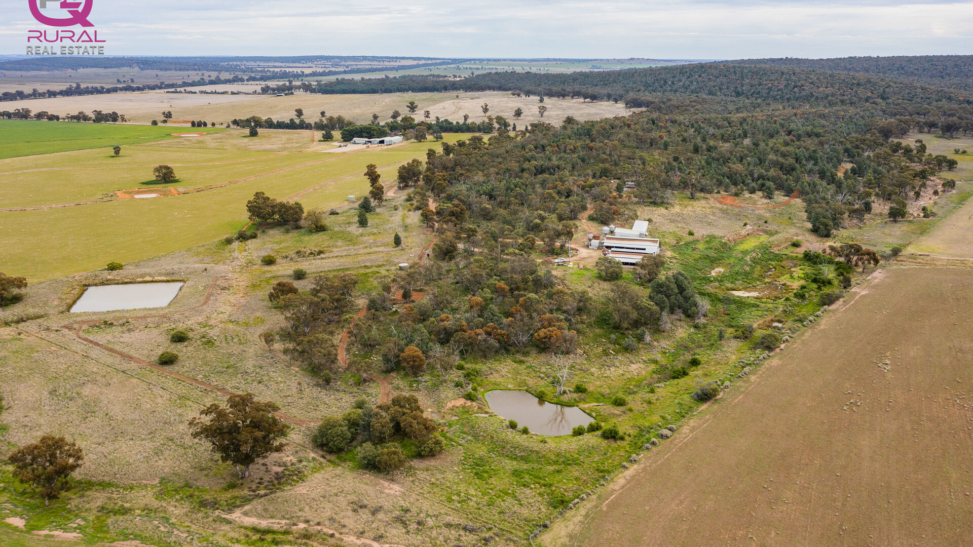 154 Charles Road, Narrandera NSW 2700 - photo 9