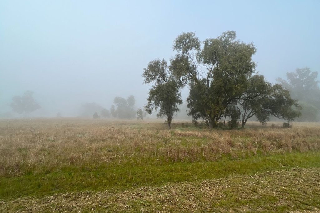 192 Yamma Street, Morundah NSW 2700 - photo 2
