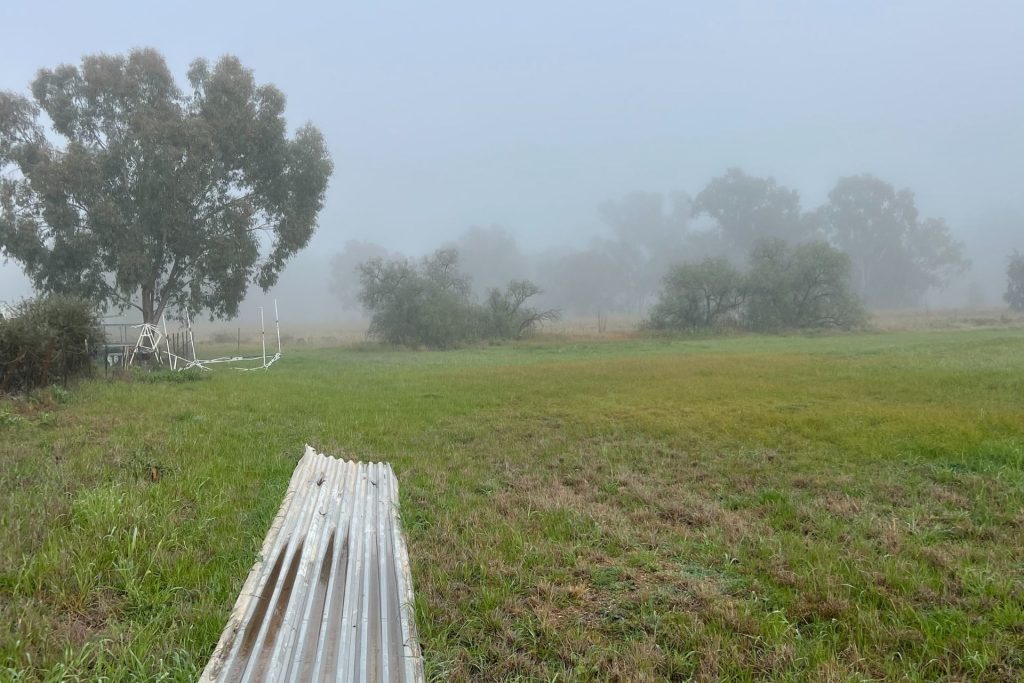 192 Yamma Street, Morundah NSW 2700 - photo 9