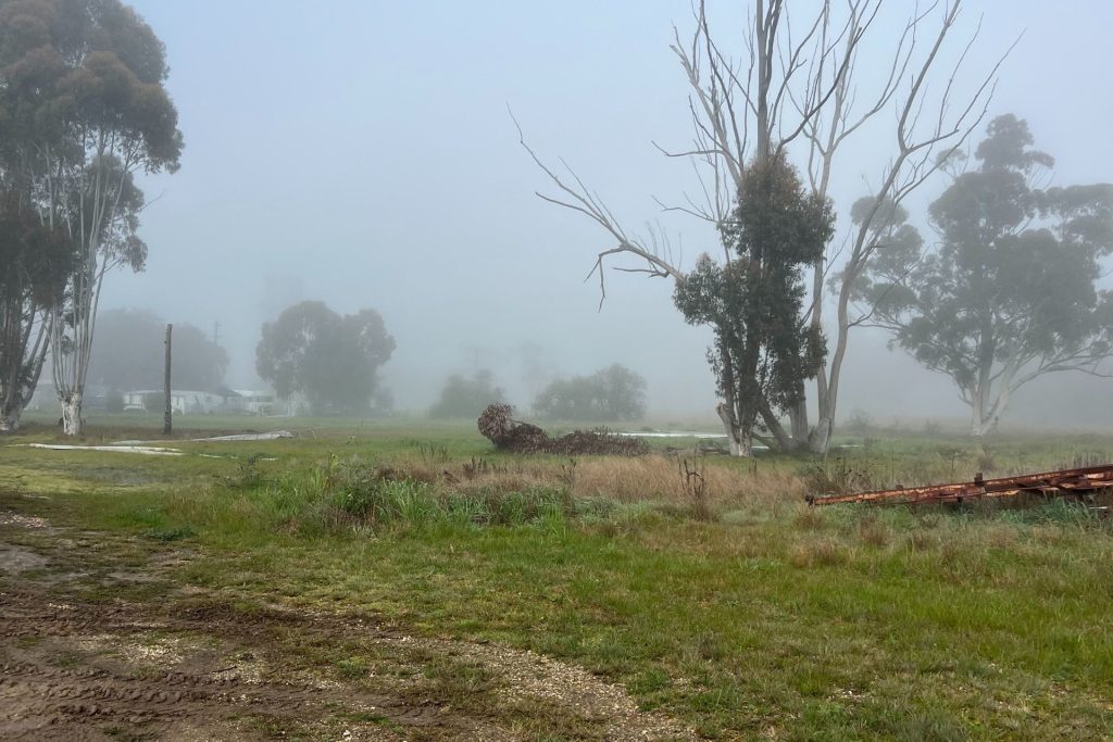 192 Yamma Street, Morundah NSW 2700 - photo 10