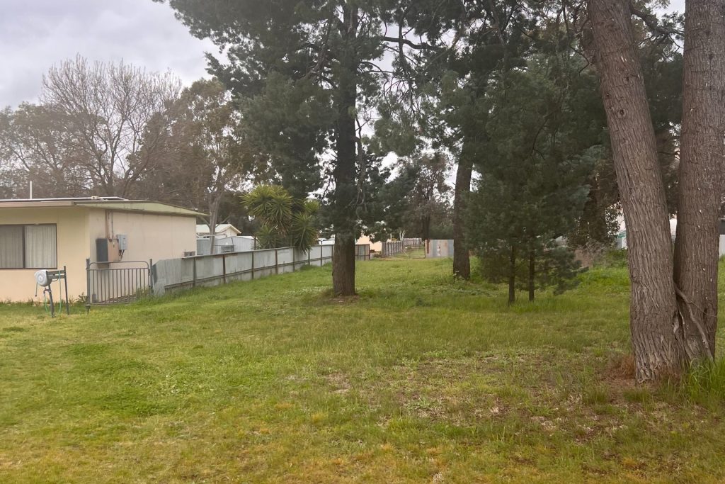 29 Hopetoun Street, Ariah Park NSW 2665 - photo 2