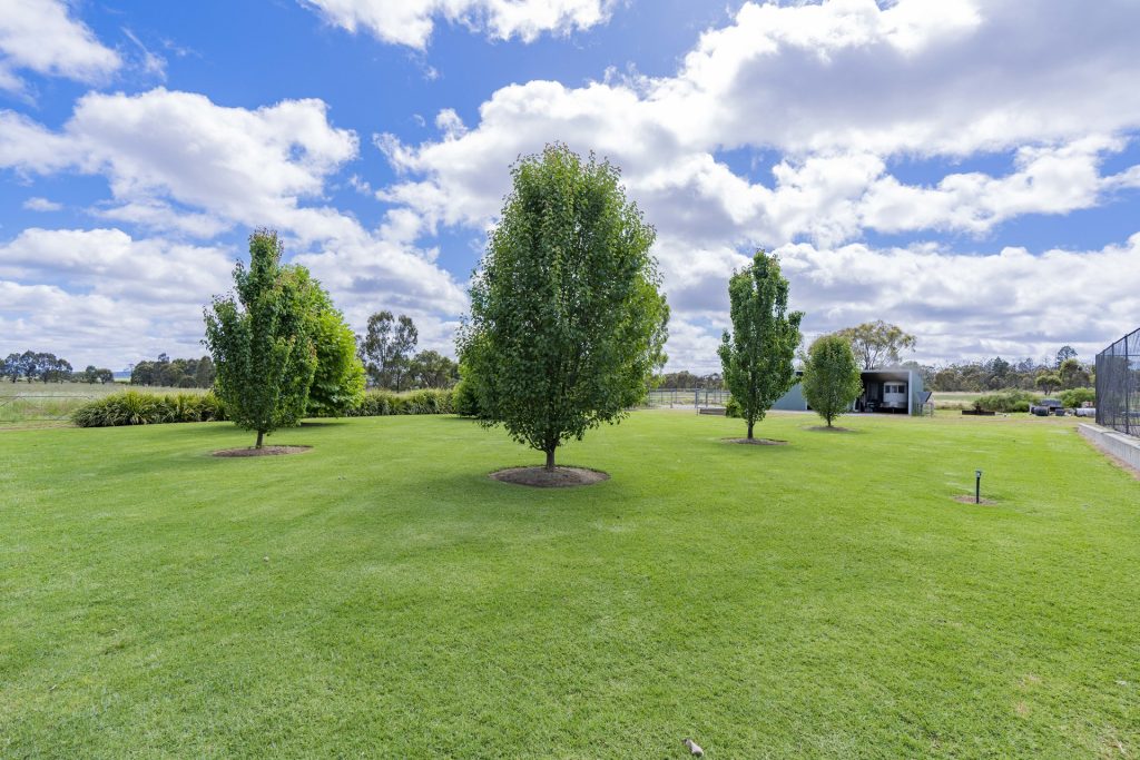 37 Stringer Road, Leeton NSW 2705 - photo 13